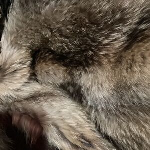 Raccoon fur coat size12